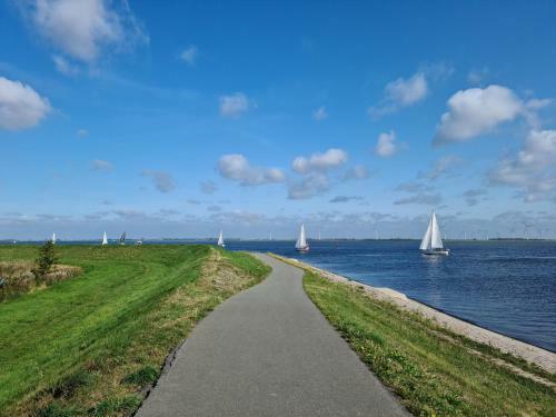 Strandhut 64