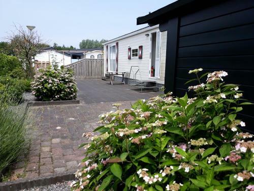 Krabbenkreek 2