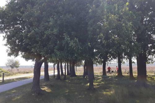 Drentse Bungalow In Natuur En Rust