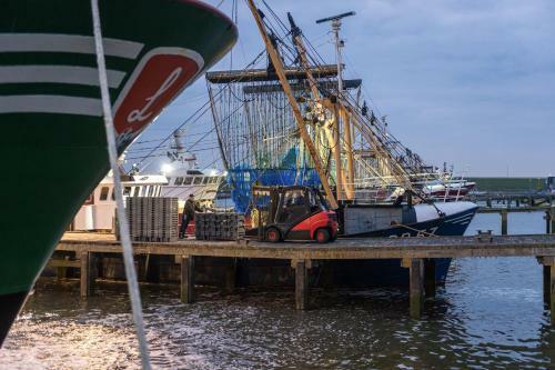 Apartamento Dock Hotel Stellendam