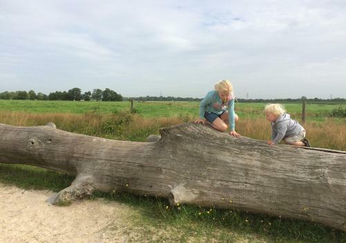 Het Torentje Van Trips