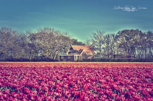 Bungalow Callantsoog