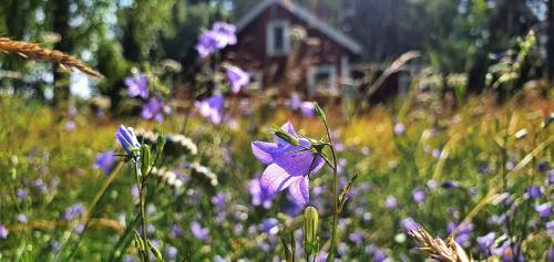 Lidsbergs Torp I �lme