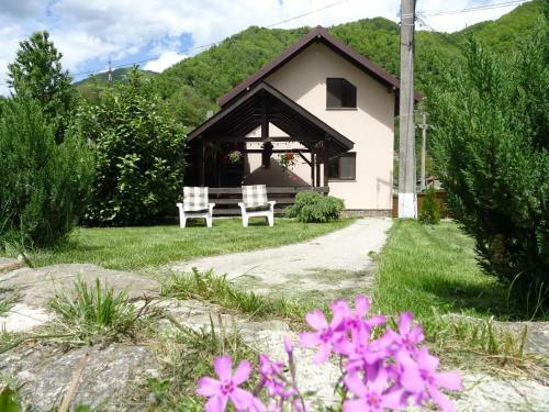 Casa Lotrilor