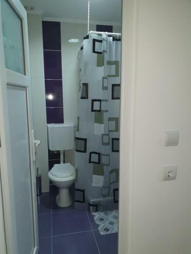 Hostal Pensiunea Ronicson