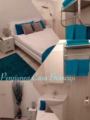 Hostal Pensiunea Casa Brancusi