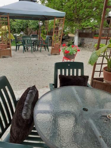Hostal Pensiunea Casa Brancusi