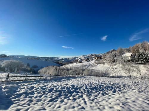 Lodge Cabana Cu Mesteceni