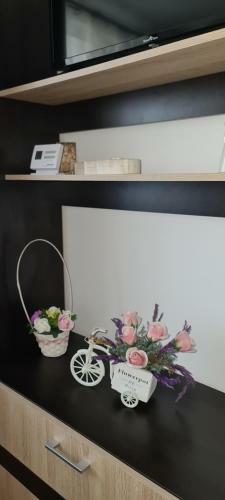 Apartamento Casa Suzana