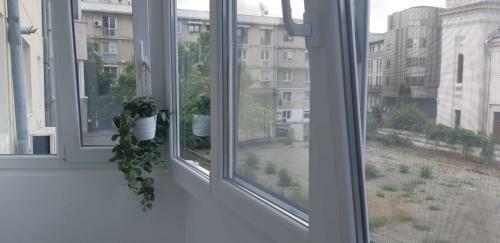 Picadilly Apartment