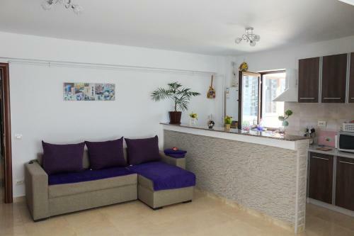 Apartament Mircea