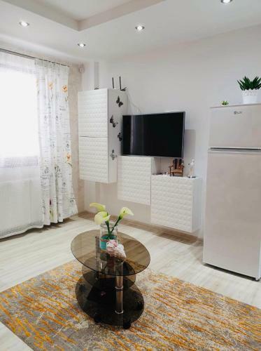 Apartament Manu