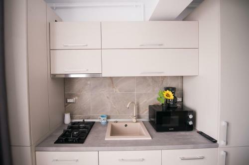 Apartament Mamaia Alezzi