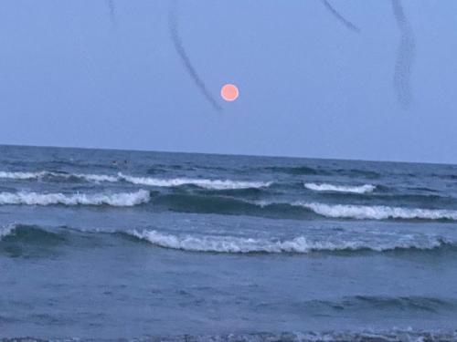 Afthonia Apartamente Mamaia Nord