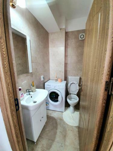 Apartament Orhideea Cristina