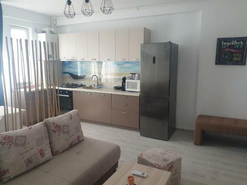 Ilinca Apartament