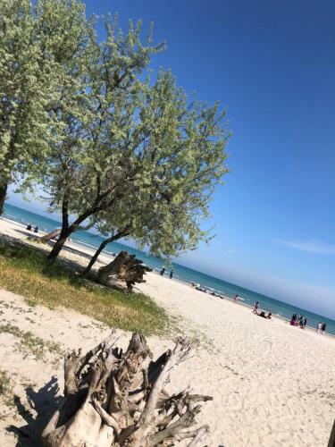 Apartamento North Spa&pools Alezzibeach