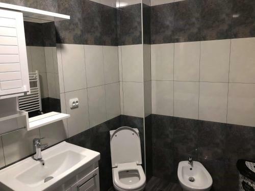Apartament David