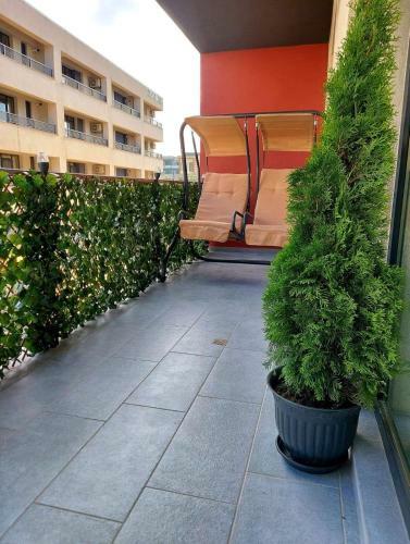Apartament David