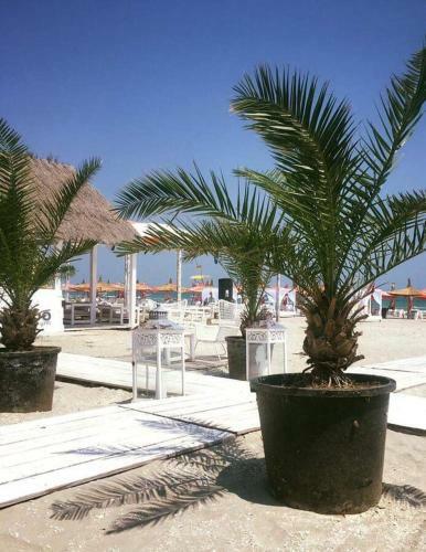 Apartamento Forever Sunrise Mamaia Nord