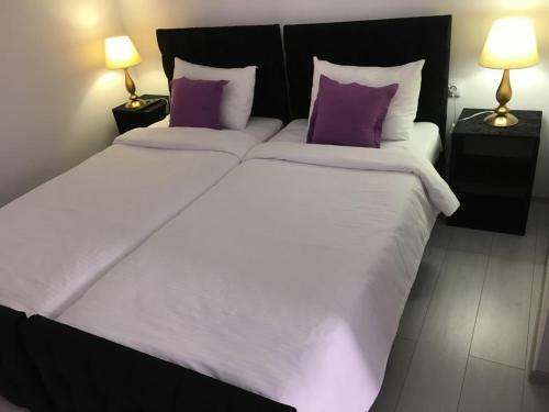 Hostal Casa Alis