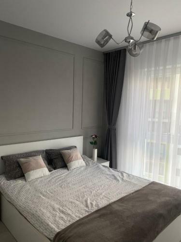 Modern Apartment Oradea