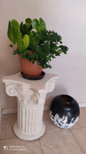 Apartamento Meu Cantinho Fora de Casa II