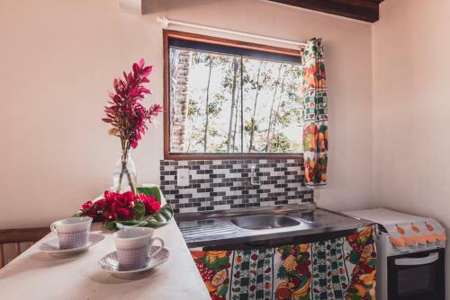 Apartamento Pi� Ecovila