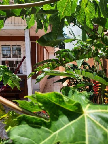 Litoral Itanhaem Suar�o