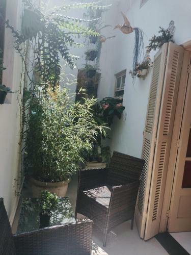 Hostel Gratid�o