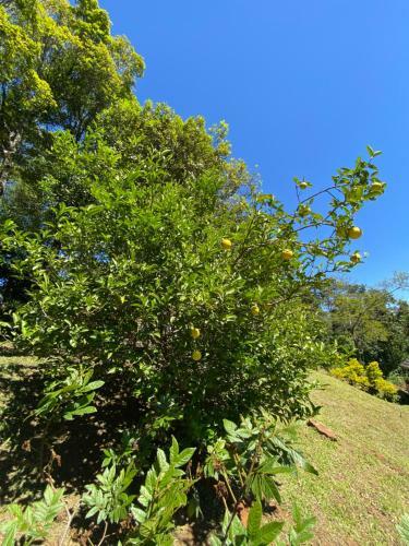 Vacanze Alugueis de Temporada - Res Villa Akor