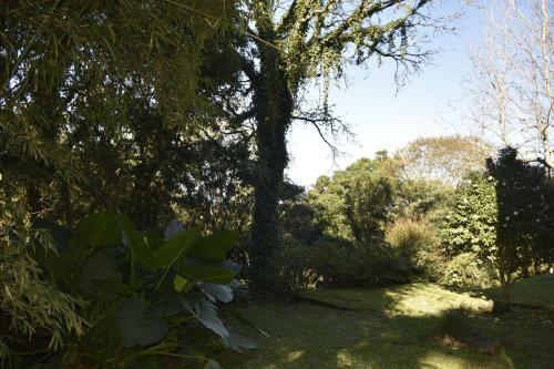Apartamento Floresta Encantada, O Seu Sonho Em Gramado!