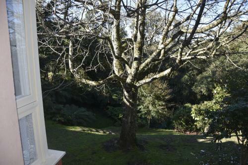 Apartamento Floresta Encantada, O Seu Sonho Em Gramado!