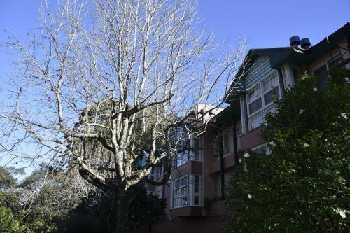 Apartamento Floresta Encantada, O Seu Sonho Em Gramado!