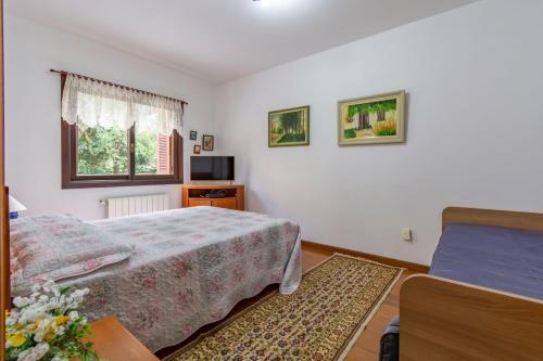 Rosa Apartamento Maximo Masotti 204