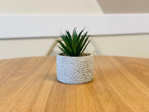 Apartamento Charmoso 2d Na Rua Coberta