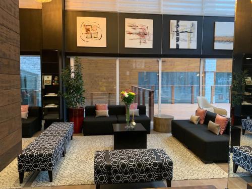 Apartamento Hotel Stilo Borges O Queridinho Das Celebridades #top10