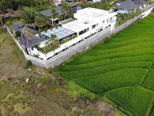 Villa Mosaic - Stunning Designed Spacious Villa - Center Canggu