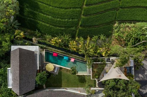 Villa Kimaya Canggu