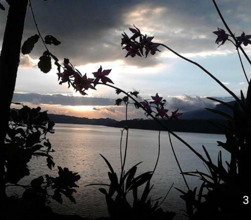 Caba�as Aramor