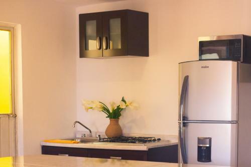 Apartamento Departamentos Parque Hundido Zacatl�n