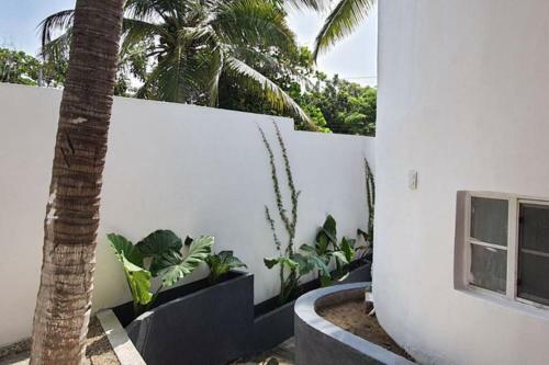 Apartamento Ana En Jungla Zipolite Con Entrada Independiente