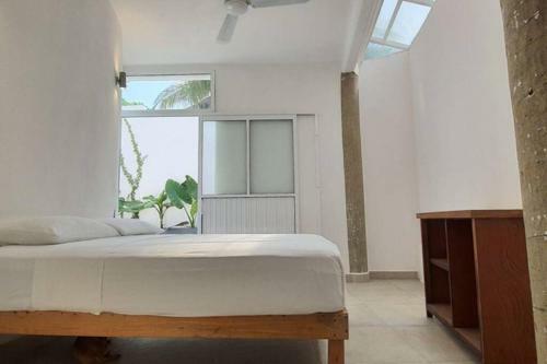 Apartamento Ana En Jungla Zipolite Con Entrada Independiente