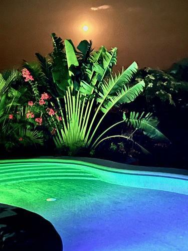 Bed & Breakfast Casa Biul�