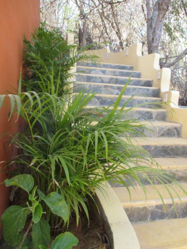 Bed & Breakfast Casa Biul�