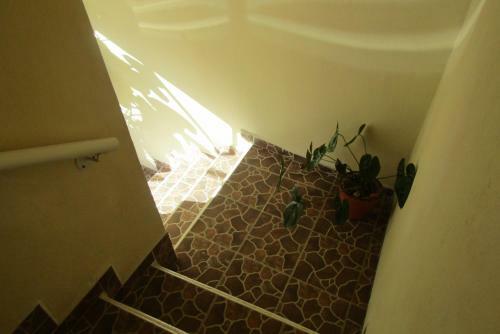 Hotel Nicte-ha