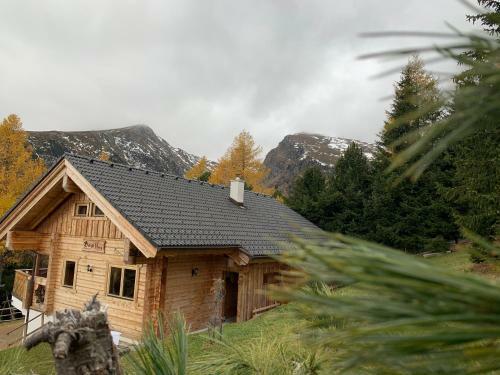 Bogi H�tte -falkert