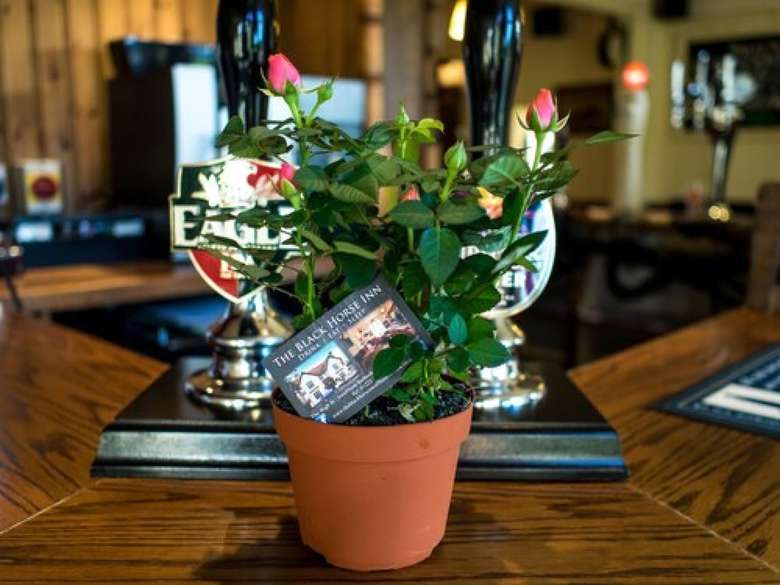Posada Black Horse Inn