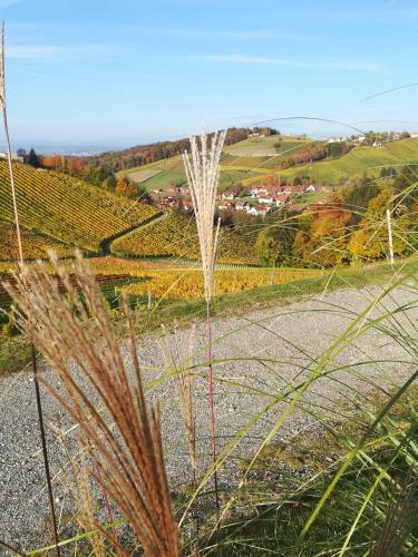 Apartamento Weinstra�enapartment Fam. Dietrich