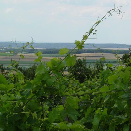 Apartamento Ferienwohnung Bradl Erhard & Heidi